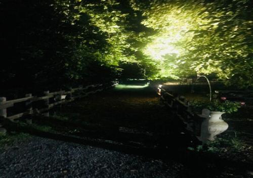 a garden at night with a fence and flowers at Casa etna in Bronte