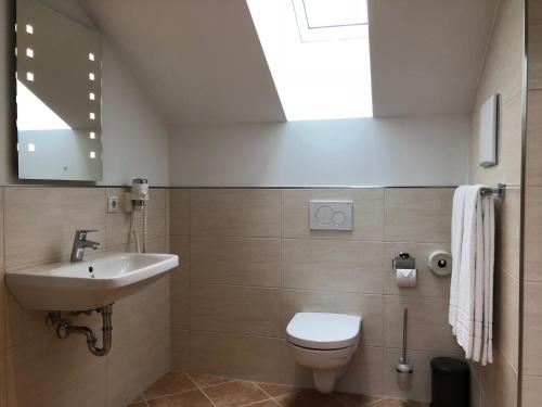 ein Badezimmer mit einem WC, einem Waschbecken und einem Spiegel in der Unterkunft Berggasthof Obere Firstalm in Schliersee