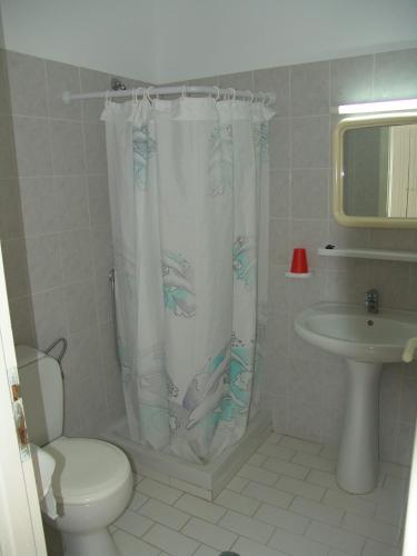 a bathroom with a toilet and a shower curtain at Kontessa Apartments in Kefalos
