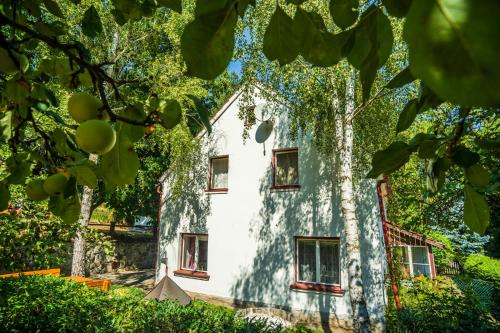 ein weißes Haus mit Bäumen davor in der Unterkunft Silver Linden Cottage in Horní Police
