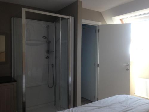 デ・ハーンにあるmaison du bonheurのバスルーム(シャワー付)、ベッド1台が備わります。