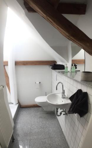 a bathroom with a sink in a attic at Haus Grotheer in Beverstedt