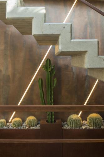 a group of cactuses on a wall with a cross at Agriturismo l'Adagio in Badalucco