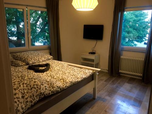 ブレーメンにあるA2-Apartments Woltmershausen Centralのベッドルーム1室(ベッド1台、テレビ、窓2つ付)