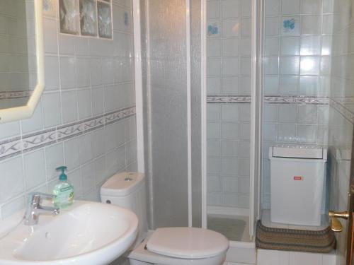プエルト・デ・サン・ミゲルにあるEspaciosa Villa Con Piscina Privadaのバスルーム(トイレ、洗面台、シャワー付)