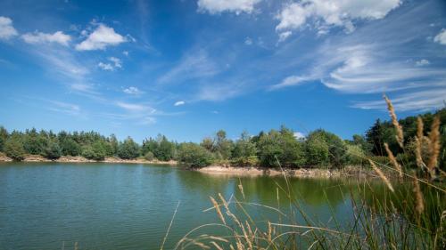a view of a lake with trees and a blue sky at Les Chalets du Mazet Saint Voy in Mazet-Saint-Voy