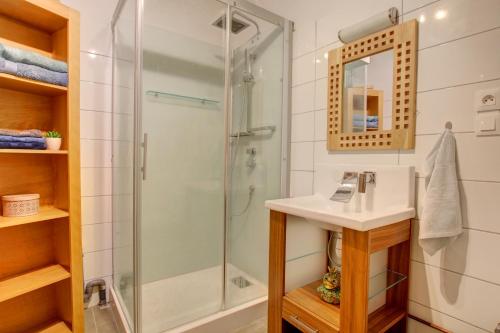a bathroom with a shower and a sink at Au Berceau des Cigognes in Sélestat