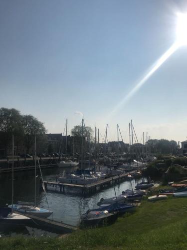 a group of boats docked in a harbor at Logies Zen & Zilt Veere in Veere
