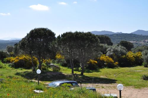 a car parked in a field with trees and grass at Hotel Le Dune in Porto Pollo