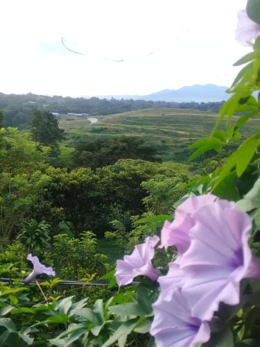 Gallery image of Rancha Azul Inn in Alajuela