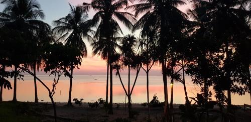 a group of palm trees on a beach at sunset at Sunari Beach Resort 2 in Selayar