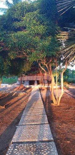 a path with trees and a bench in a park at Sunari Beach Resort 2 in Selayar
