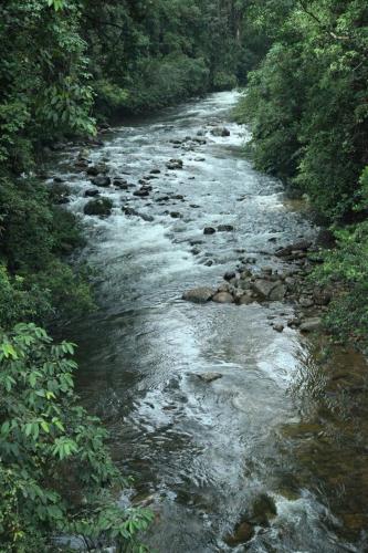 Explore Sinharaja Rain Forest Tour Camp – Photos 4