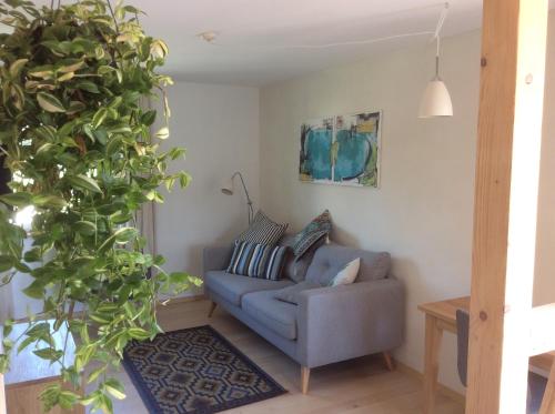 a living room with a couch and a plant at Haus Seefrieden in Uhldingen-Mühlhofen