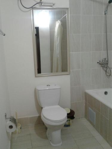 a bathroom with a toilet and a sink and a mirror at Hotel "GRAND WAY" in Tashkent