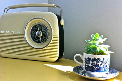 a small plant in a cup next to a toaster at Sea Salt Bnb in Rosebud