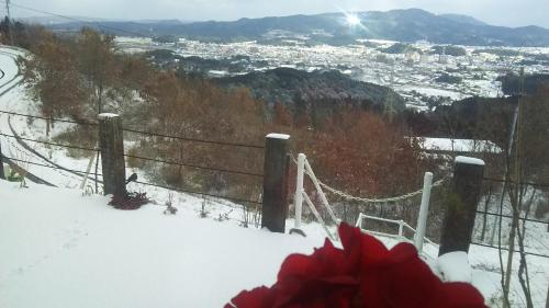 a snow covered hill with a red flower in the snow at Joy House in Imari