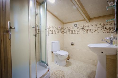 a bathroom with a shower and a toilet and a sink at Guest House Eka & Gio in Sighnaghi