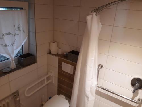 a bathroom with a toilet and a shower curtain at Ferienhof Weydringer in Haundorf