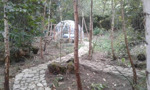 Taman di luar bulle sous les etoiles