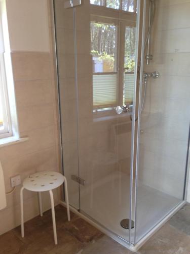 a shower with a stool and a glass shower stall at Bungalow Beachhouse in Boltenhagen