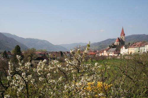 a town with a field of flowers and a church at Donauhof - Hotel garni in Weissenkirchen in der Wachau