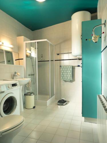 une salle de bain avec douche et machine à laver dans l'établissement Vintage Guesthouse, à Saint-Fort-sur-Gironde