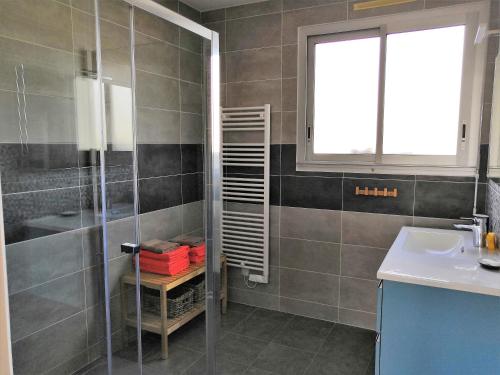 een badkamer met een douche en een wastafel bij La Maison Madame in Chambretaud