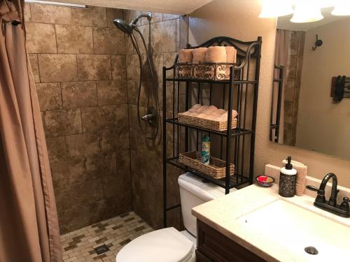 a bathroom with a shower and a toilet and a sink at Gonzales Cozy Little Bear Cabin in Ruidoso