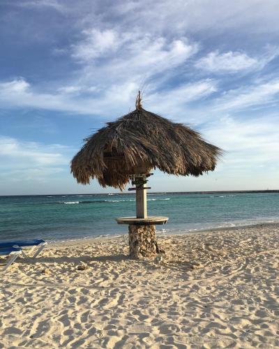 a straw umbrella on a sandy beach near the ocean at Aruba Stop by The Stop Club in Palm-Eagle Beach