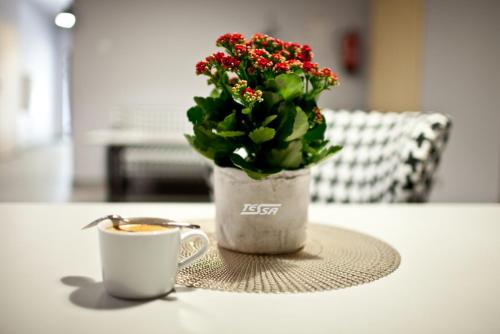 a cup of coffee and a potted plant on a table at Pokoje Gościnne Tessa in Chełm
