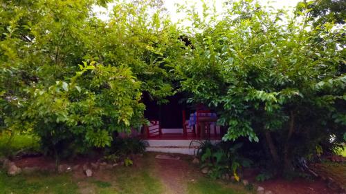 a garden with a bench in the middle of trees at Villa Pajon Eco Lodge in Constanza