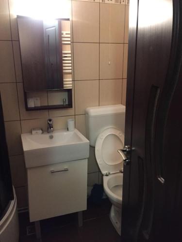 Gallery image of Cozy Park Studio in city center, Campina in Campina