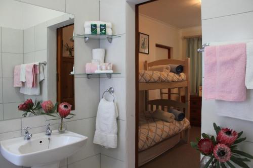 a bathroom with a sink and a mirror at Plotsklaps Self Catering Cottage in Tokai