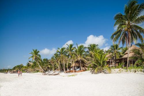a beach with palm trees and palm trees at Delek Tulum located at the party zone in Tulum