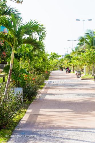 a sidewalk with palm trees and people walking down it at Turtle Beach Towers in Ocho Rios
