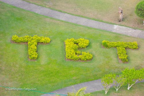 a sign that says fail written in the grass at Turtle Beach Towers in Ocho Rios