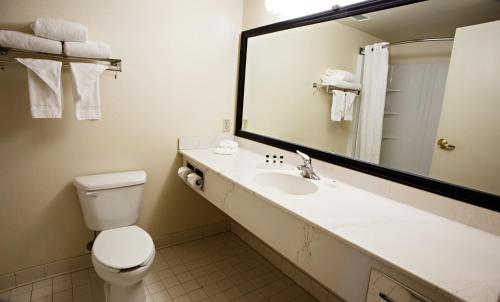 a bathroom with a toilet and a sink and a mirror at Country Inn & Suites by Radisson, Harrisburg West Mechanicsburg in Mechanicsburg