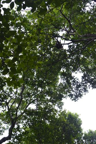 インの近くで見られる自然の景観