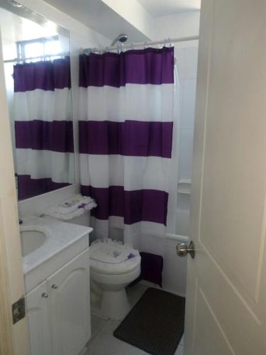 uma casa de banho com um WC e uma cortina de duche roxa e branca. em Departamento Viña del mar em Viña del Mar