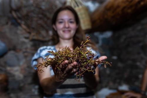 a woman holding a bunch of herbs in her hands at Hatzikyprianou Museum Studio in Lazania