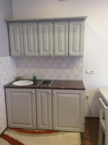 Gallery image of Apartman Lazar, BN centar in Bijeljina