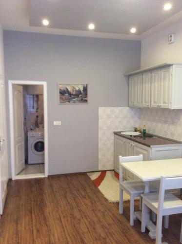Η κουζίνα ή μικρή κουζίνα στο Apartman Lazar, BN centar