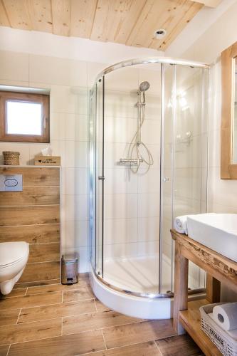 a bathroom with a shower and a toilet and a sink at Fiedorówka in Zakopane