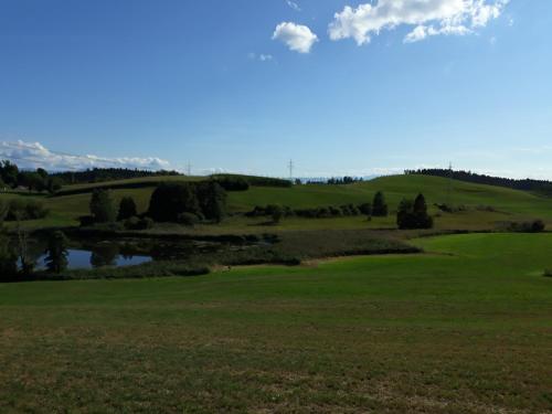 a view of the green on the golf course at Schöne EinZimmer Wohnung Zwischen Bodensee und Allgäu in Neukirch