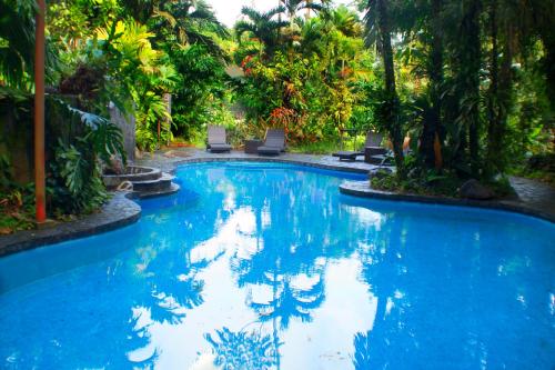 a swimming pool in a resort with palm trees at Lost Iguana Resort and Spa in Fortuna