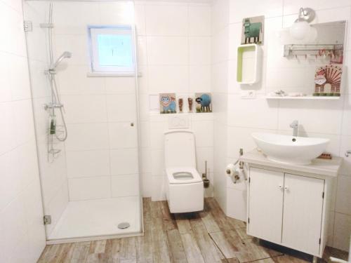 a bathroom with a toilet and a sink and a shower at River Cave Apartment Slovenia in Visoko