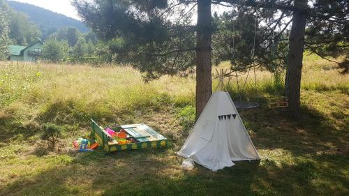 a tent sitting in the grass next to a tree at Bujaków, apartamenty Zdrojowa 58a in Bujaków