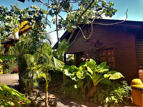 Jardín al aire libre en Si Mi Capitán - Cabañas & Habitaciones