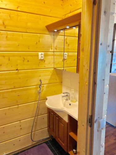 ein Badezimmer mit Waschbecken und Spiegel in der Unterkunft Mikala in Karstula